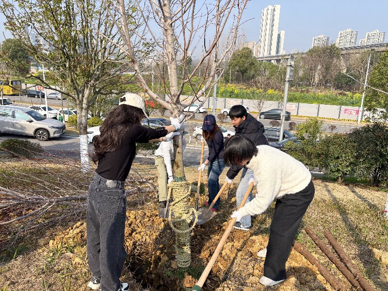 1773713829682379.jpg d42eeed2-82ca-4ca9-a197-eb4d2caf70c6.jpg